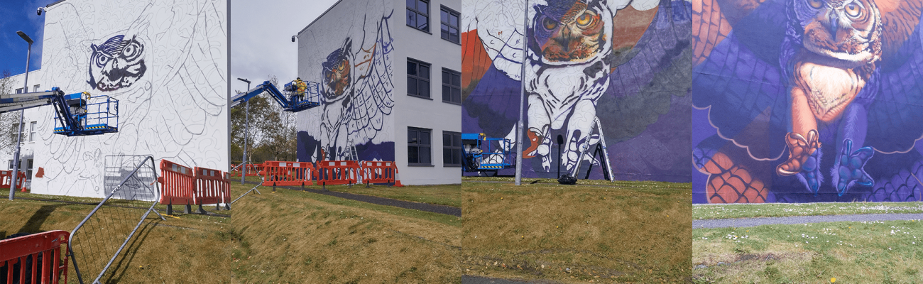 Owl in Construction